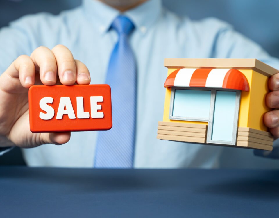 Most Profitable Businesses to Buy in Sri Lanka